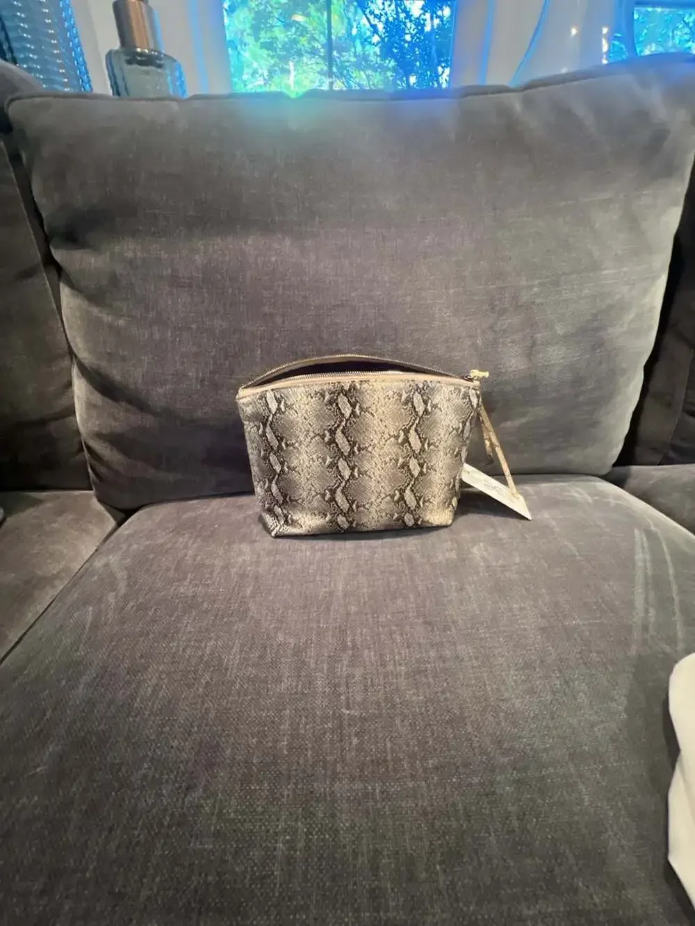 Hobo Collect Glam Snake Leather Pouch